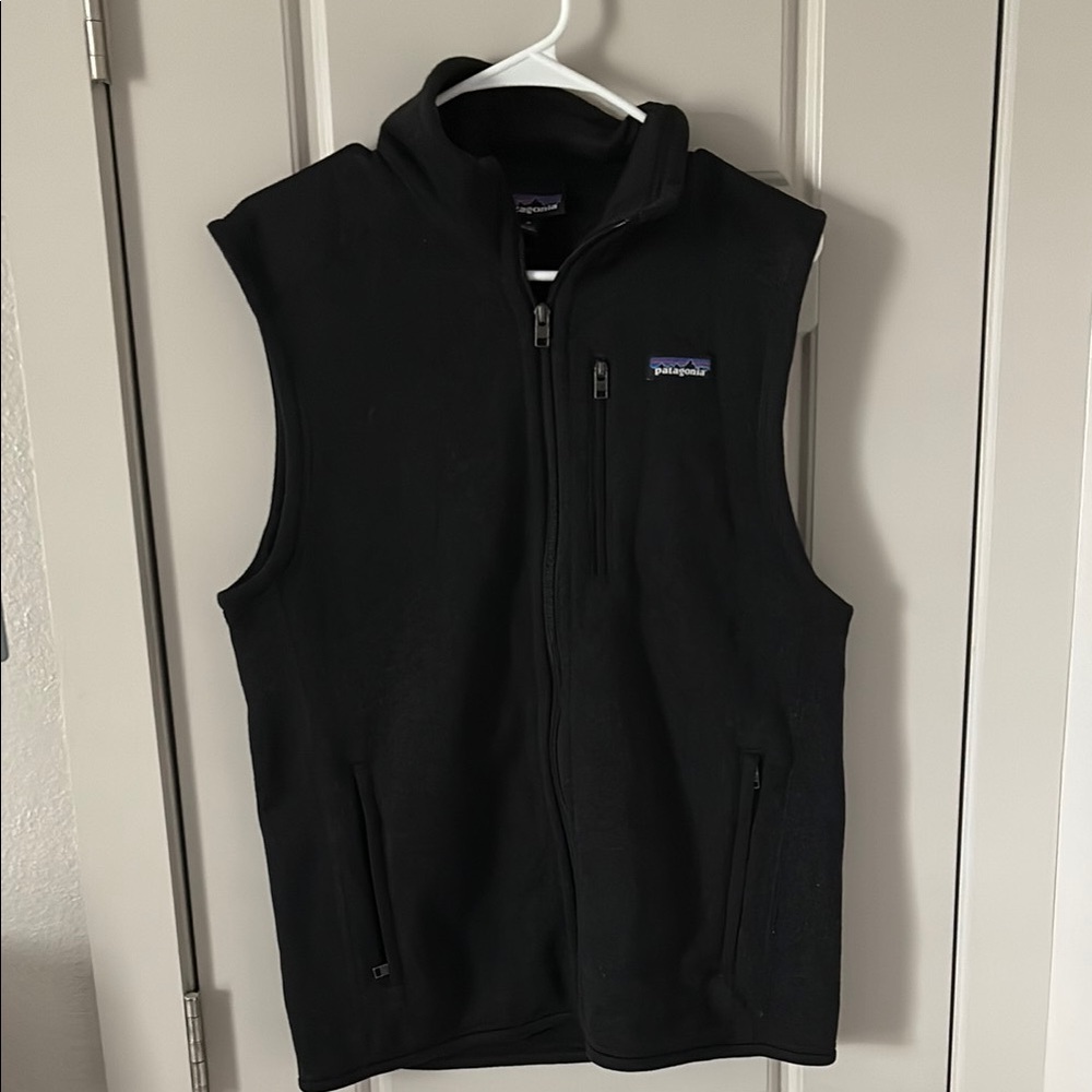 Patagonia vest